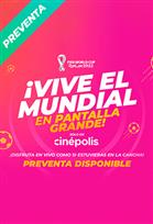 WC22: Japón vs España